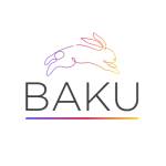 BAKU SOLUTIONS Profile Picture