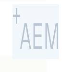 AEM Electrolysis Profile Picture