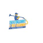 theflyingcarpetandtilecleaner Profile Picture